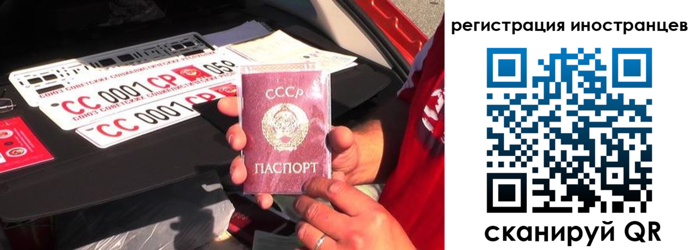 прописка гарантия в Щиграх