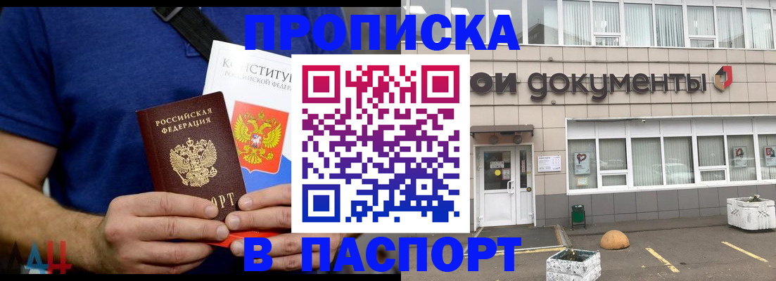 прописка паспорт в Щиграх